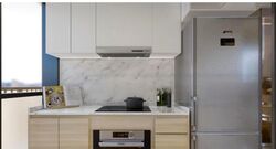 Sanctuary @ Newton (D11), Apartment #457955471